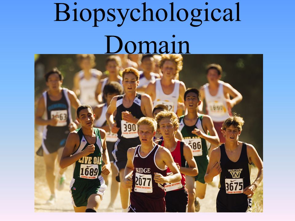 Biopsychological Domain