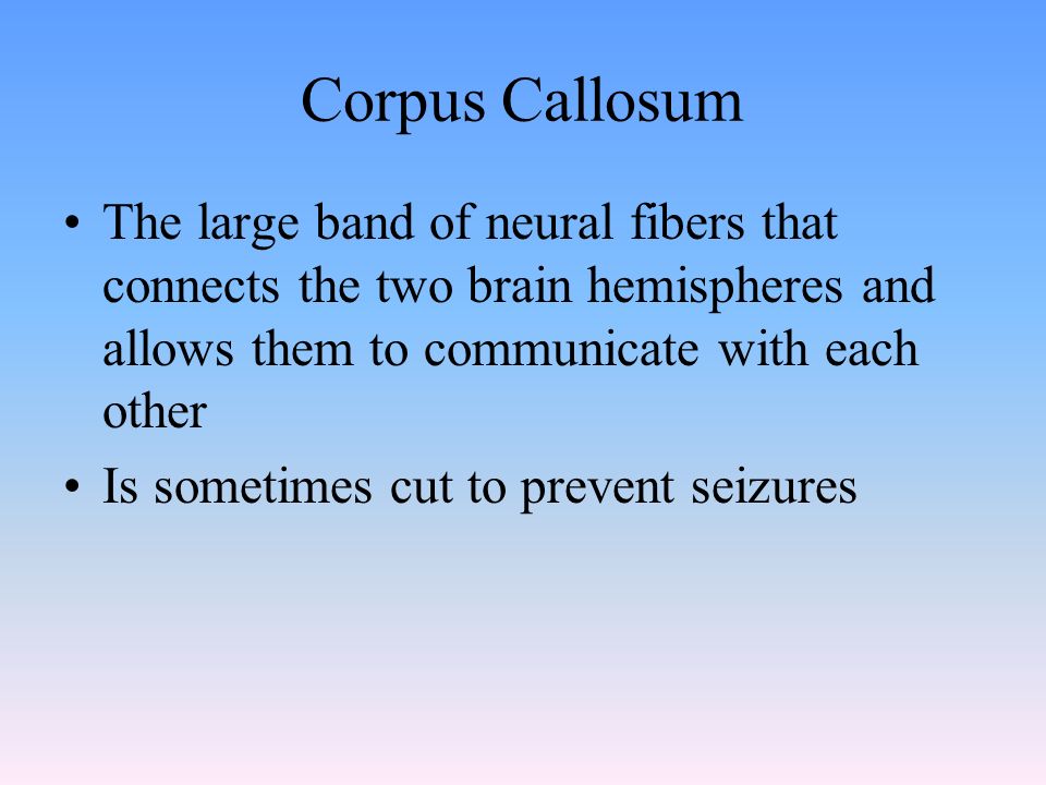 Corpus Callosum The large band of neural fibers that connects the two brain hemispheres and allows them to communicate with each other Is sometimes cut to prevent seizures