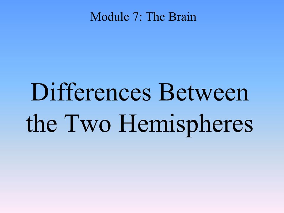 Differences Between the Two Hemispheres Module 7: The Brain