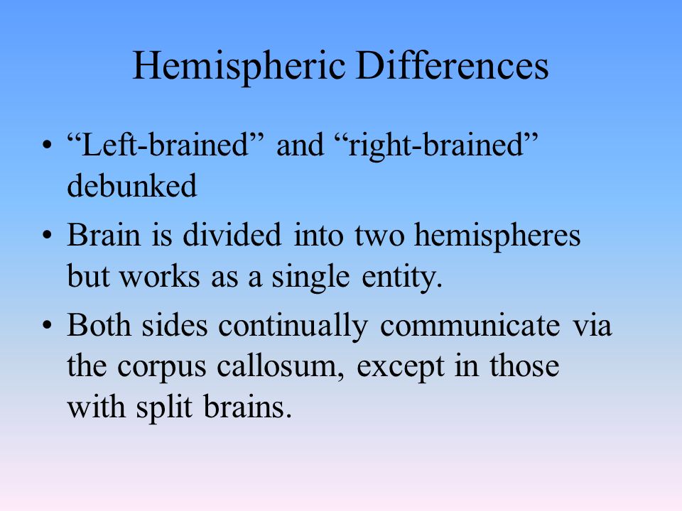 Hemispheric Differences Left-brained and right-brained debunked Brain is divided into two hemispheres but works as a single entity.