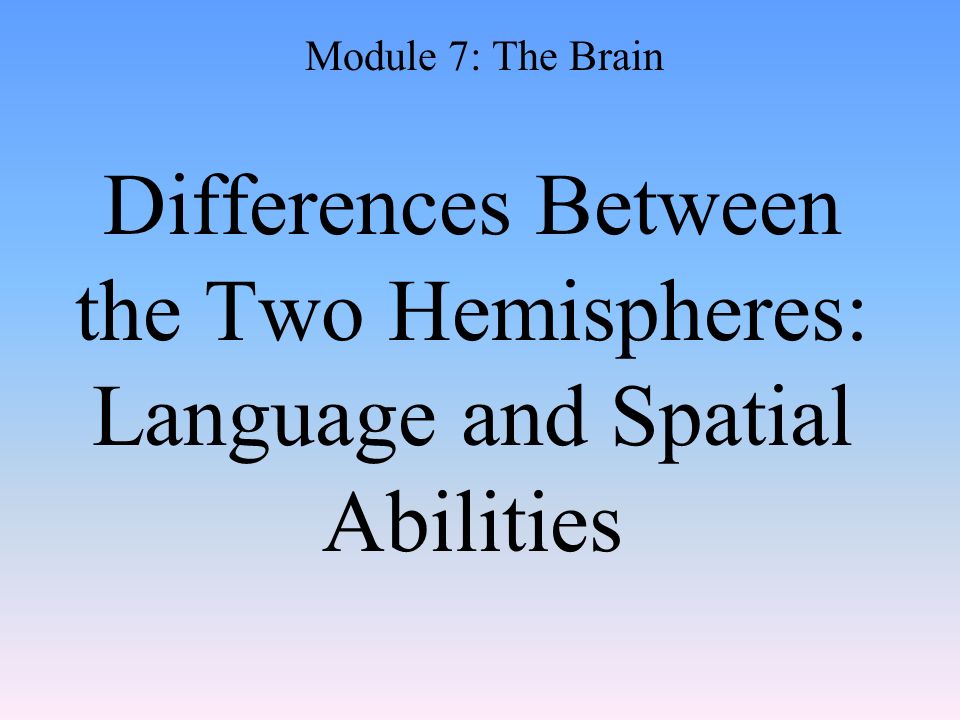 Differences Between the Two Hemispheres: Language and Spatial Abilities Module 7: The Brain