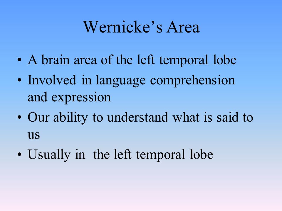 Wernicke’s Area A brain area of the left temporal lobe Involved in language comprehension and expression Our ability to understand what is said to us Usually in the left temporal lobe