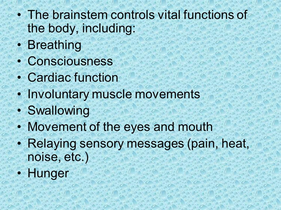 The brainstem controls vital functions of the body, including: Breathing Consciousness Cardiac function Involuntary muscle movements Swallowing Movement of the eyes and mouth Relaying sensory messages (pain, heat, noise, etc.) Hunger