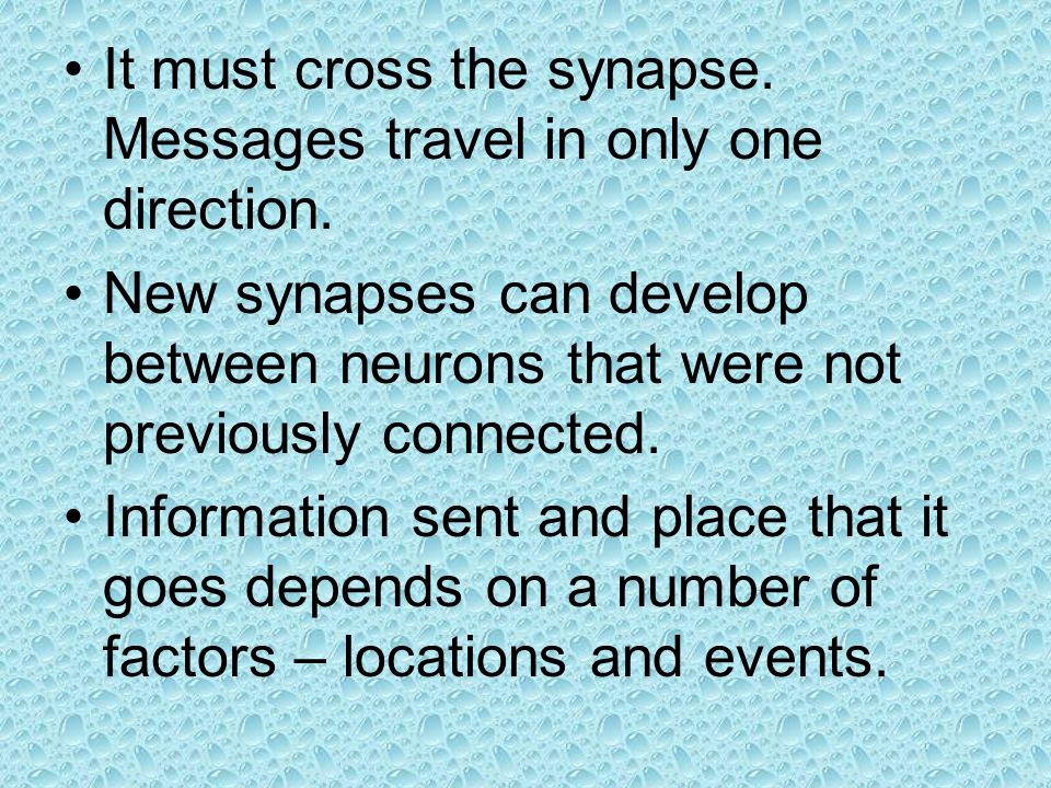 It must cross the synapse. Messages travel in only one direction.