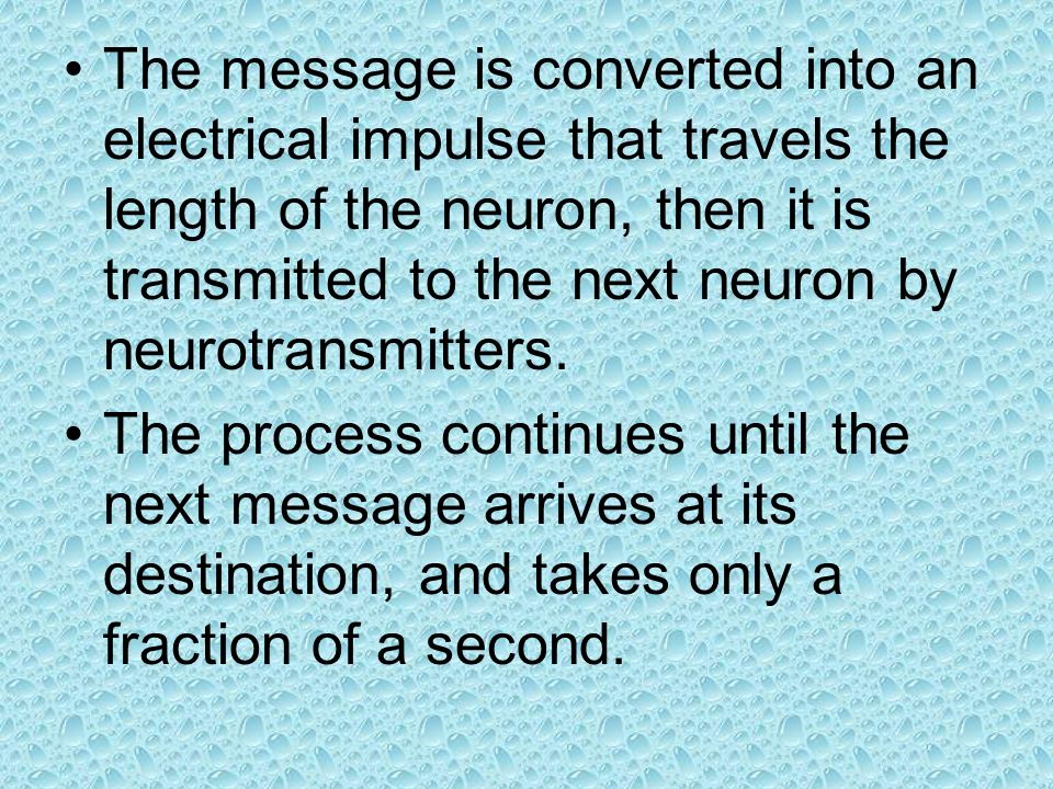 The message is converted into an electrical impulse that travels the length of the neuron, then it is transmitted to the next neuron by neurotransmitters.