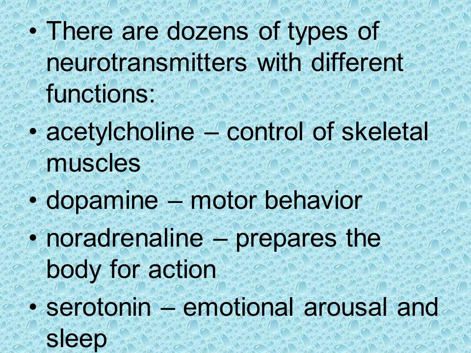 There are dozens of types of neurotransmitters with different functions: acetylcholine – control of skeletal muscles dopamine – motor behavior noradrenaline – prepares the body for action serotonin – emotional arousal and sleep
