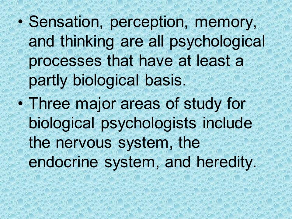 Sensation, perception, memory, and thinking are all psychological processes that have at least a partly biological basis.
