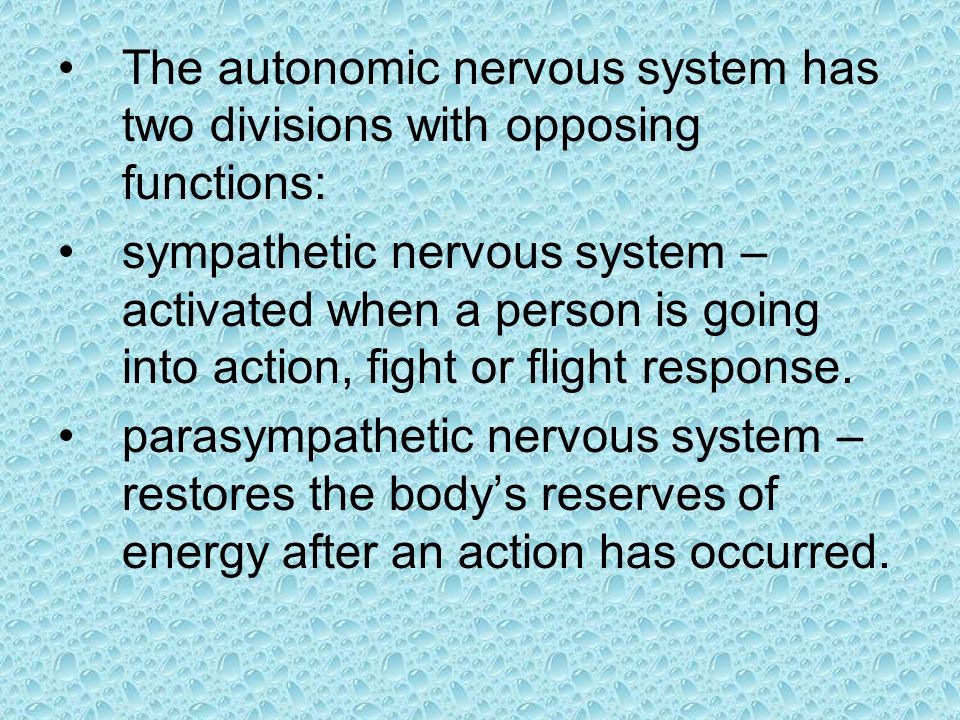 The autonomic nervous system has two divisions with opposing functions: sympathetic nervous system – activated when a person is going into action, fight or flight response.