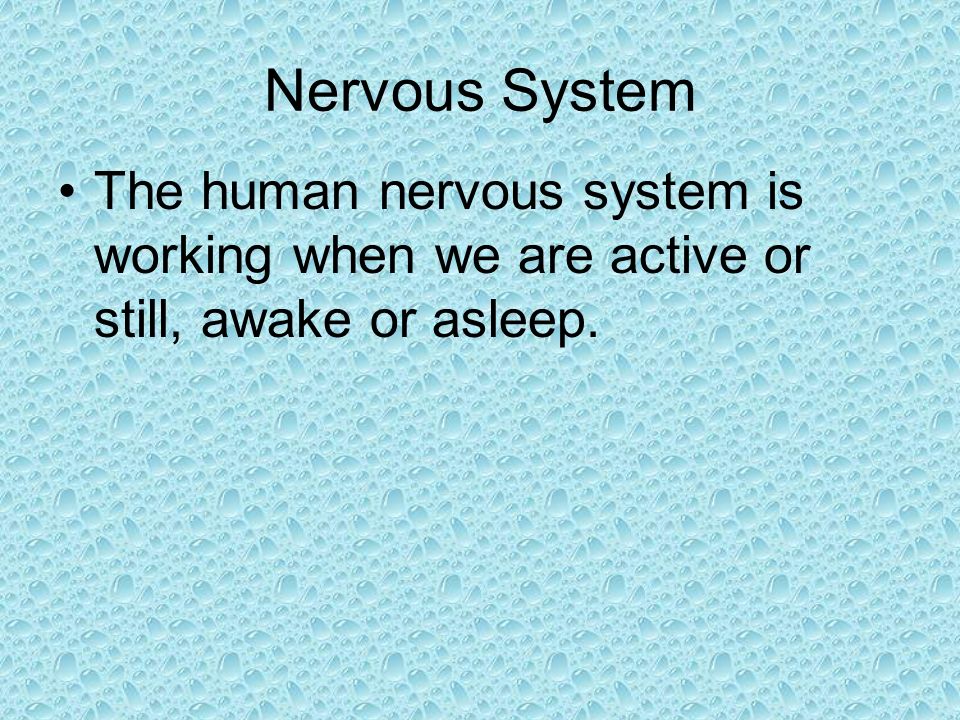 Nervous System The human nervous system is working when we are active or still, awake or asleep.