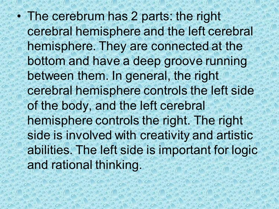 The cerebrum has 2 parts: the right cerebral hemisphere and the left cerebral hemisphere.