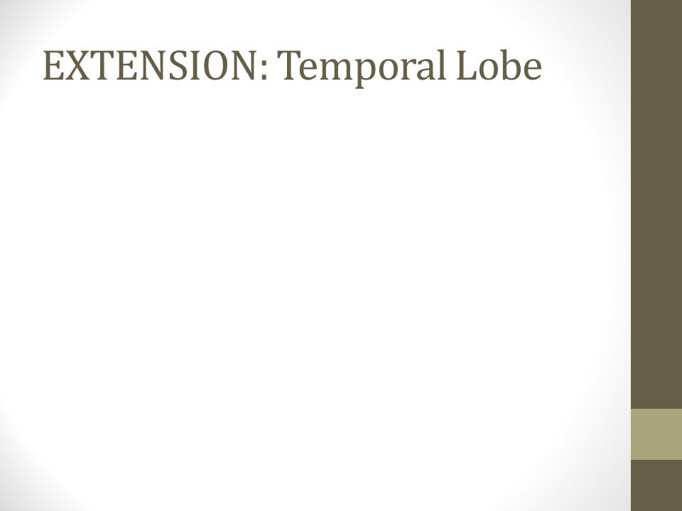 EXTENSION: Temporal Lobe