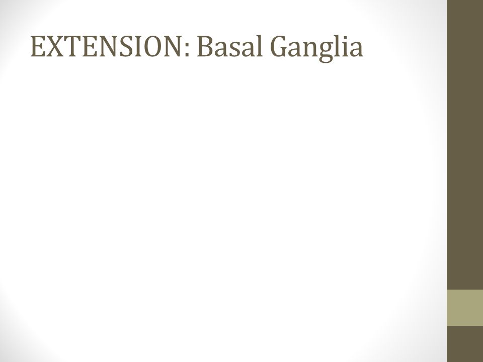 EXTENSION: Basal Ganglia