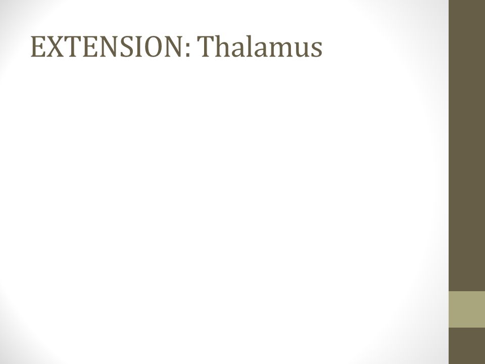 EXTENSION: Thalamus