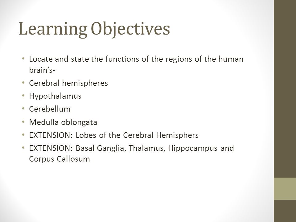 Learning Objectives Locate and state the functions of the regions of the human brain’s- Cerebral hemispheres Hypothalamus Cerebellum Medulla oblongata EXTENSION: Lobes of the Cerebral Hemisphers EXTENSION: Basal Ganglia, Thalamus, Hippocampus and Corpus Callosum