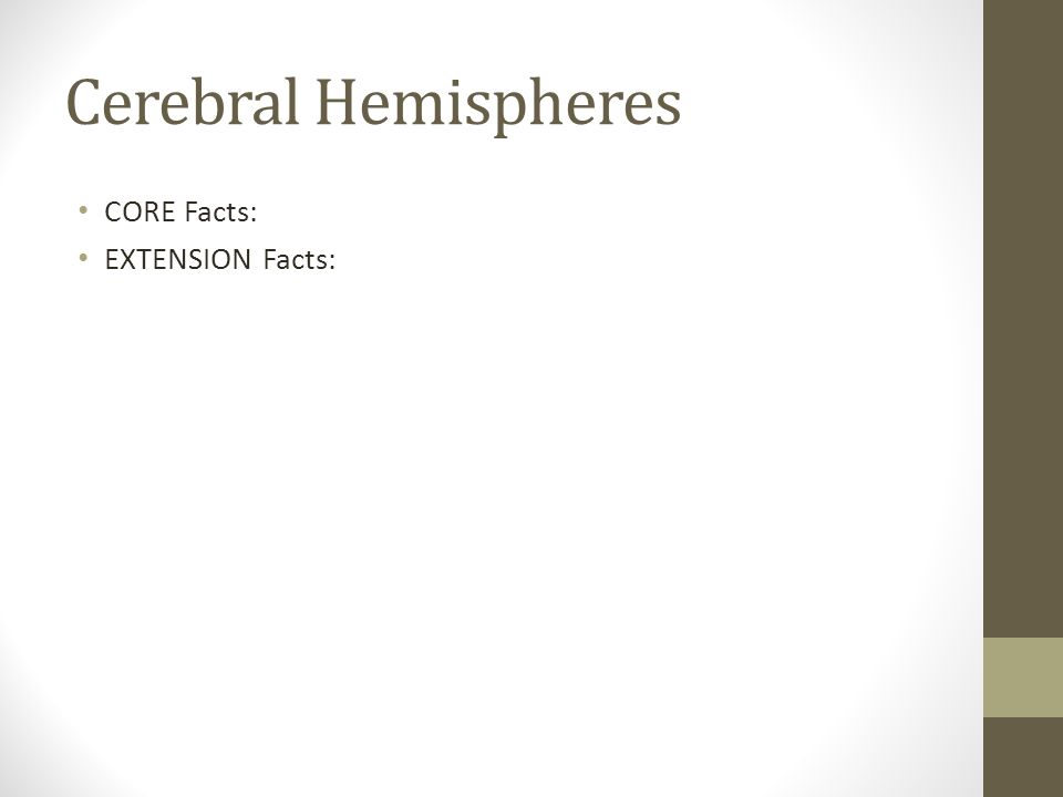 Cerebral Hemispheres CORE Facts: EXTENSION Facts: