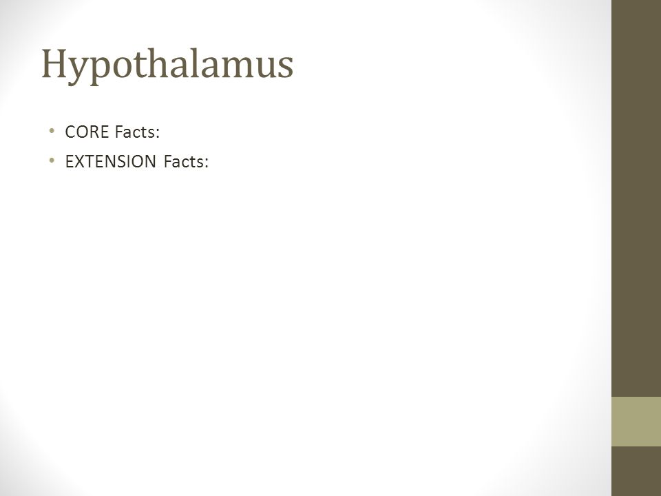 Hypothalamus CORE Facts: EXTENSION Facts: