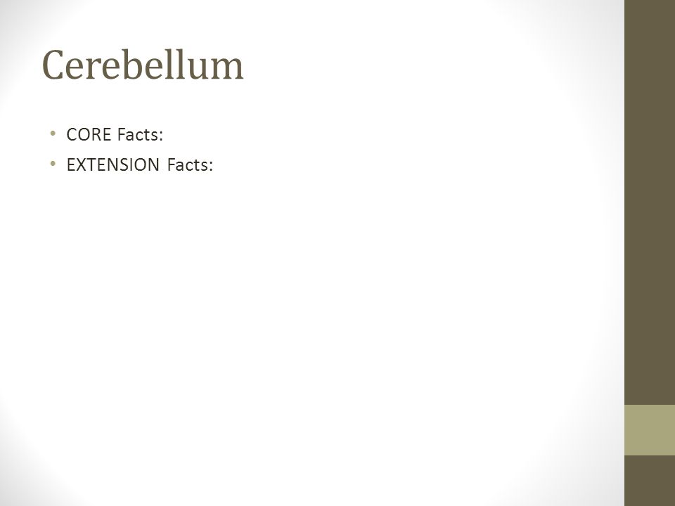 Cerebellum CORE Facts: EXTENSION Facts: