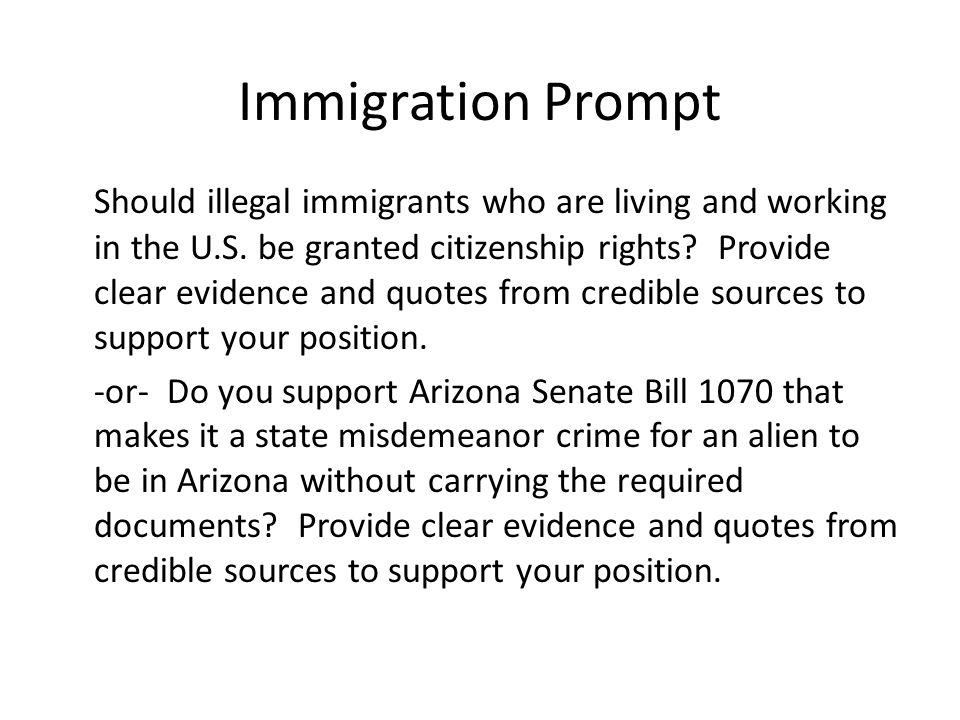 Essay On Illegal Immigration