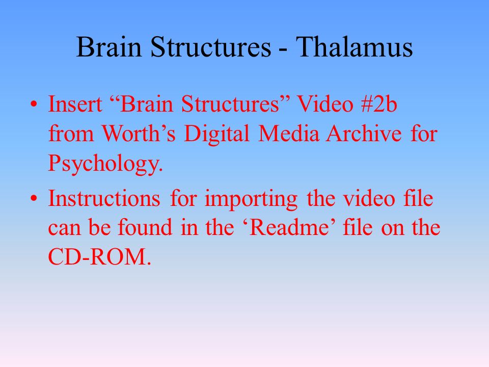 Brain Structures - Thalamus Insert Brain Structures Video #2b from Worth’s Digital Media Archive for Psychology.