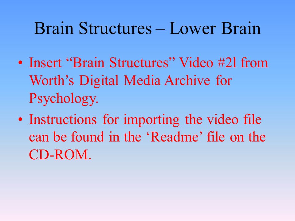 Brain Structures – Lower Brain Insert Brain Structures Video #2l from Worth’s Digital Media Archive for Psychology.