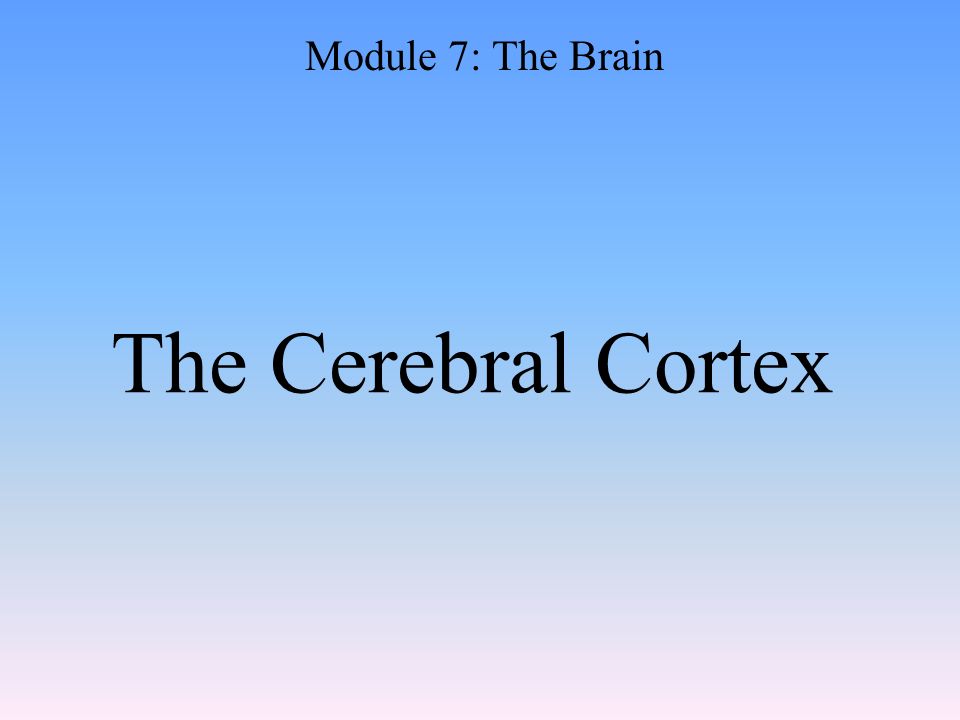 The Cerebral Cortex Module 7: The Brain