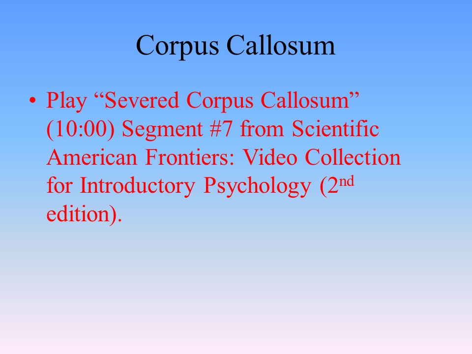 Play Severed Corpus Callosum (10:00) Segment #7 from Scientific American Frontiers: Video Collection for Introductory Psychology (2 nd edition).