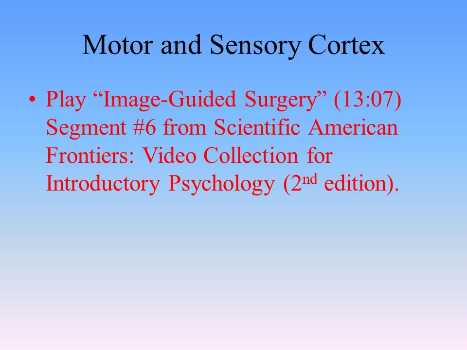 Motor and Sensory Cortex Play Image-Guided Surgery (13:07) Segment #6 from Scientific American Frontiers: Video Collection for Introductory Psychology (2 nd edition).