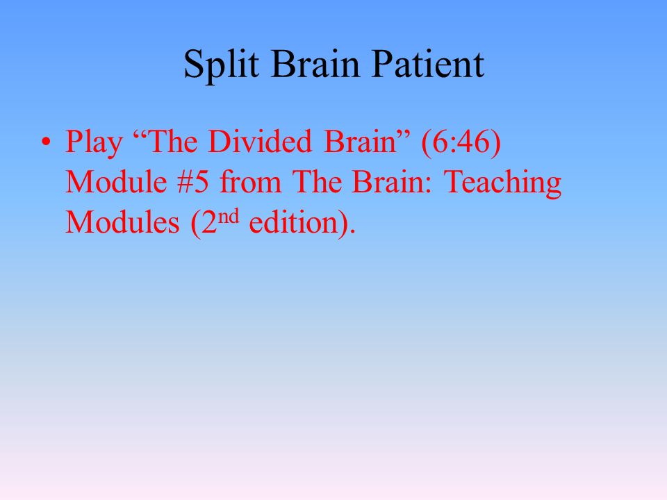 Split Brain Patient Play The Divided Brain (6:46) Module #5 from The Brain: Teaching Modules (2 nd edition).