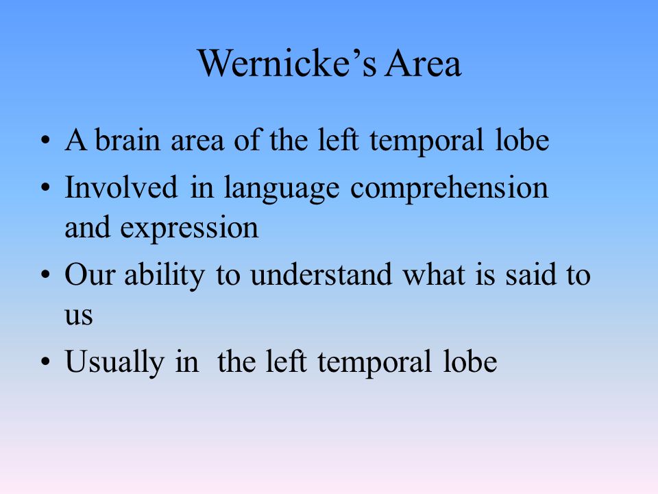 Wernicke’s Area A brain area of the left temporal lobe Involved in language comprehension and expression Our ability to understand what is said to us Usually in the left temporal lobe