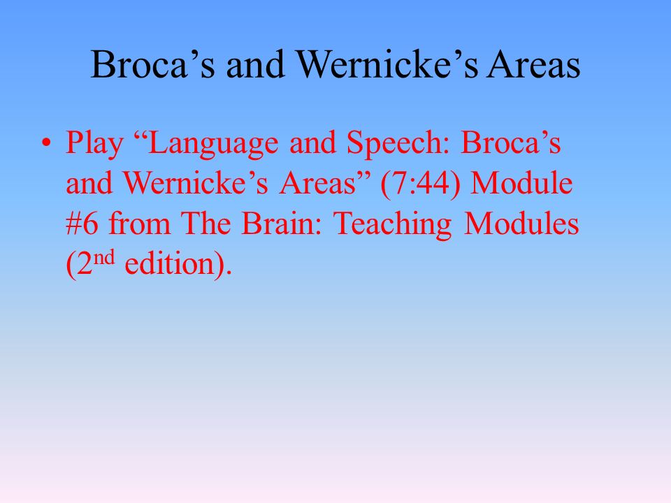 Broca’s and Wernicke’s Areas Play Language and Speech: Broca’s and Wernicke’s Areas (7:44) Module #6 from The Brain: Teaching Modules (2 nd edition).