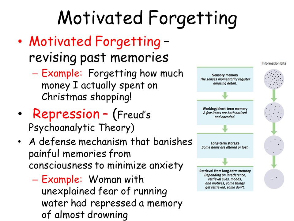 Essay On Memory