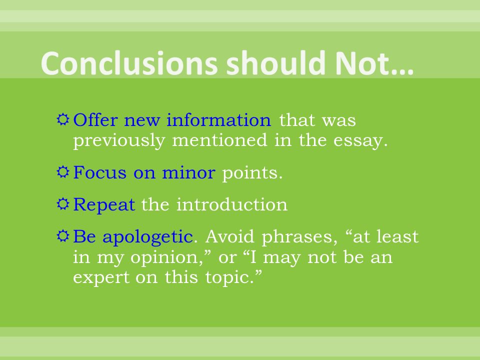 The Essay Expert