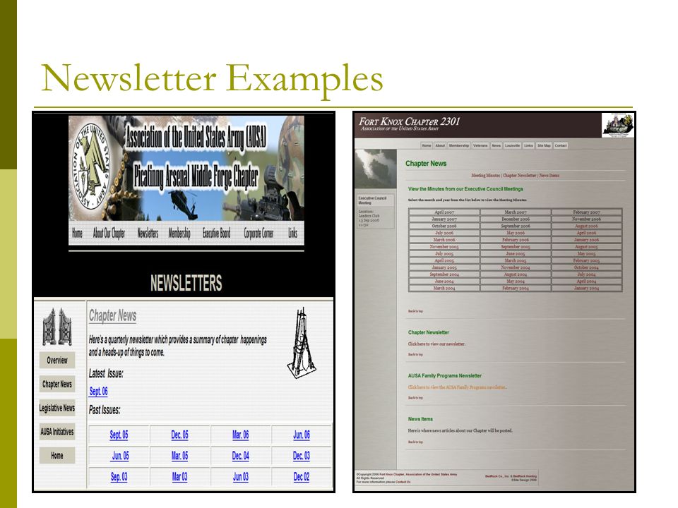 Newsletter Examples