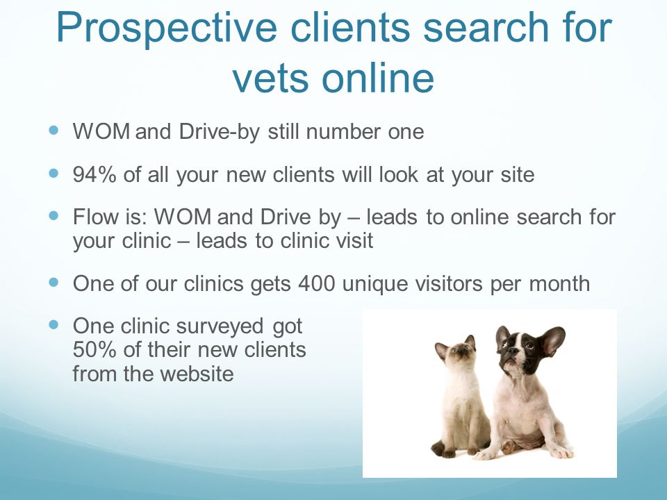 WOM and Drive-by still number one 94% of all your new clients will look at your site Flow is: WOM and Drive by – leads to online search for your clinic – leads to clinic visit One of our clinics gets 400 unique visitors per month One clinic surveyed got 50% of their new clients from the website Prospective clients search for vets online