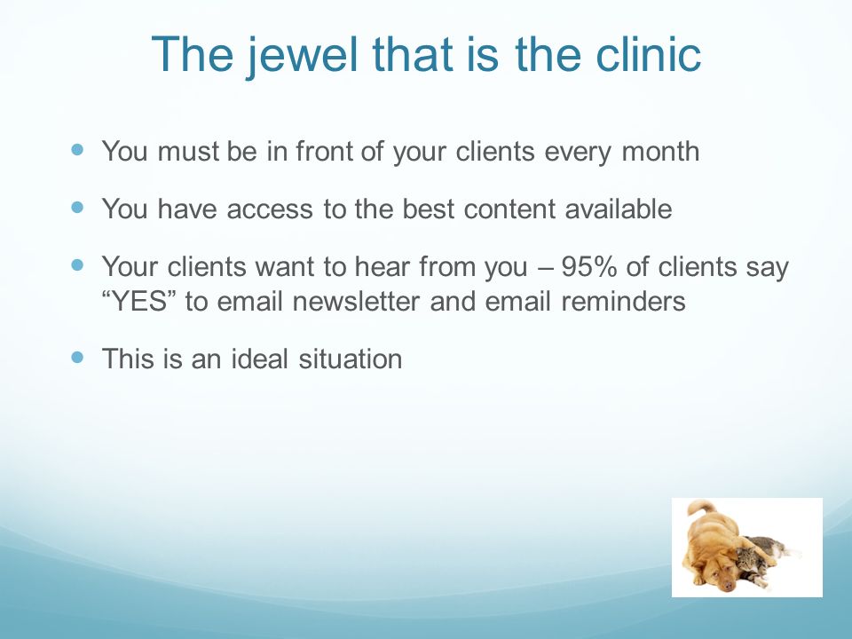 The jewel that is the clinic You must be in front of your clients every month You have access to the best content available Your clients want to hear from you – 95% of clients say YES to  newsletter and  reminders This is an ideal situation