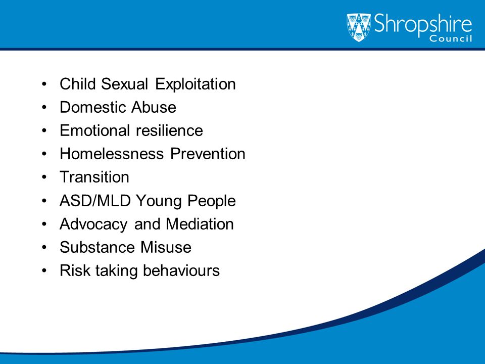 Child Sexual Exploitation Domestic Abuse Emotional resilience Homelessness Prevention Transition ASD/MLD Young People Advocacy and Mediation Substance Misuse Risk taking behaviours