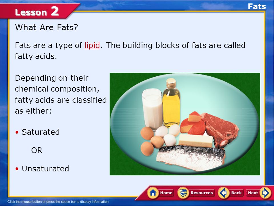 Lesson 2 The Role of Proteins The body uses proteins to: Build new cells and tissues.