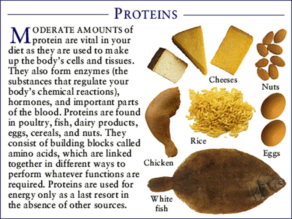 Protein Your body needs proteins to build cells, to make blood and to repair and build muscle and other tissues.