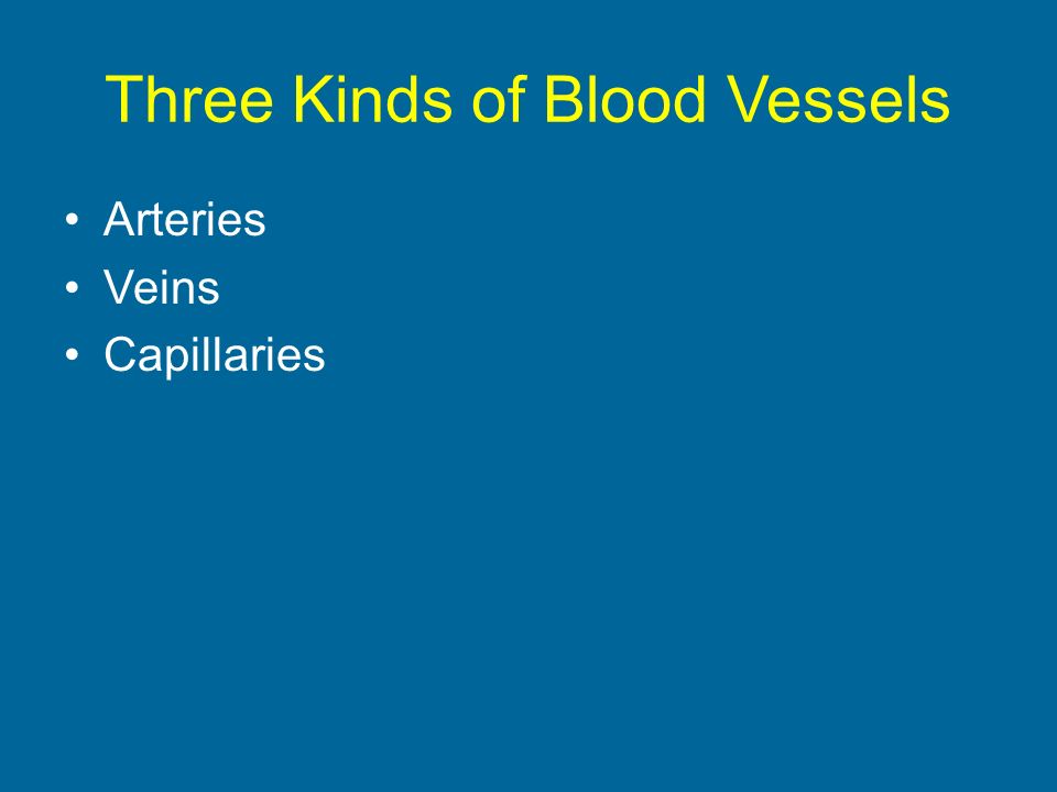 Three Kinds of Blood Vessels Arteries Veins Capillaries