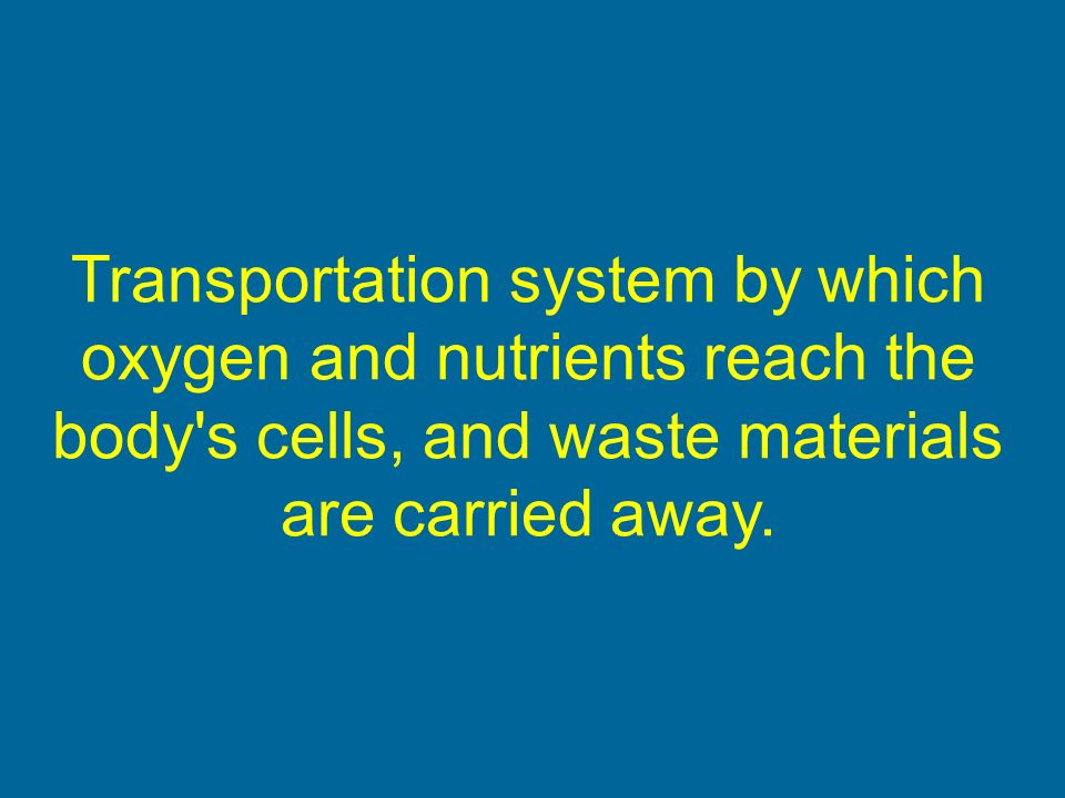 Transportation system by which oxygen and nutrients reach the body s cells, and waste materials are carried away.
