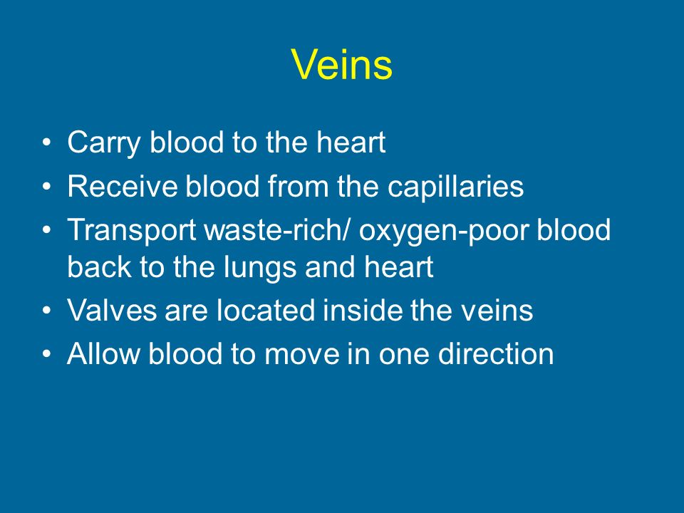 Veins Carry blood to the heart Receive blood from the capillaries Transport waste-rich/ oxygen-poor blood back to the lungs and heart Valves are located inside the veins Allow blood to move in one direction
