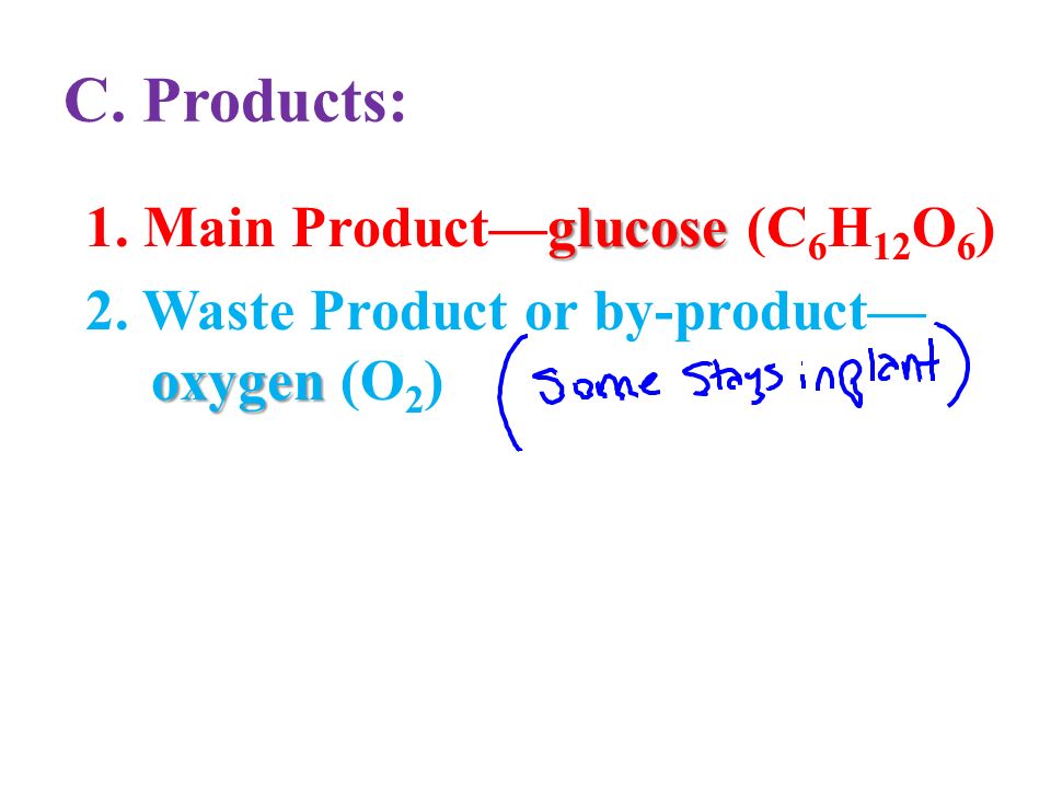 Overall Balanced Chemical Equation For Aerobic Cellular Write Out The Summary Equation For Aerobic Cellular Respiration
