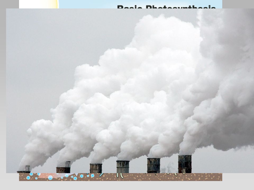 Carbon Dioxide Even though the atmosphere contains only a small amount of carbon dioxide, it is essential to life.