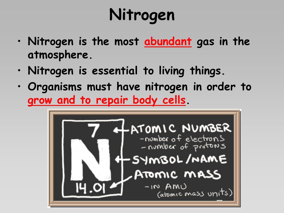 Nitrogen Nitrogen is the most abundant gas in the atmosphere.