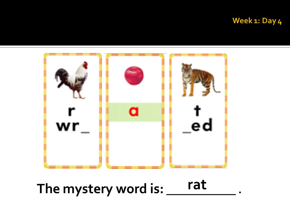 The mystery word is: __________. rat
