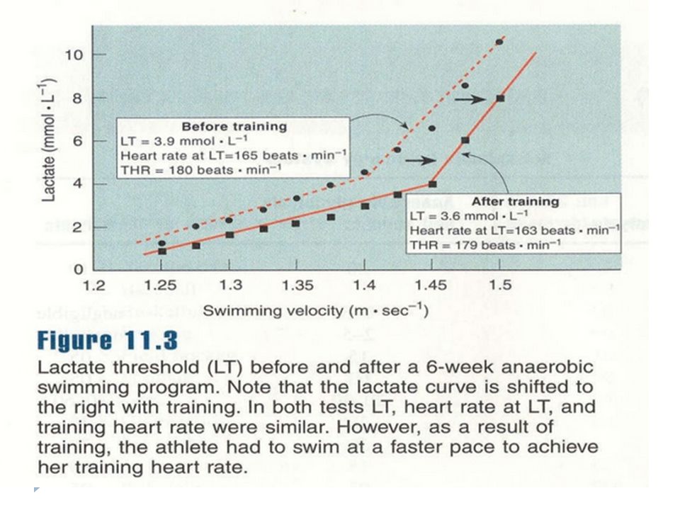Increase metabolism aerobically