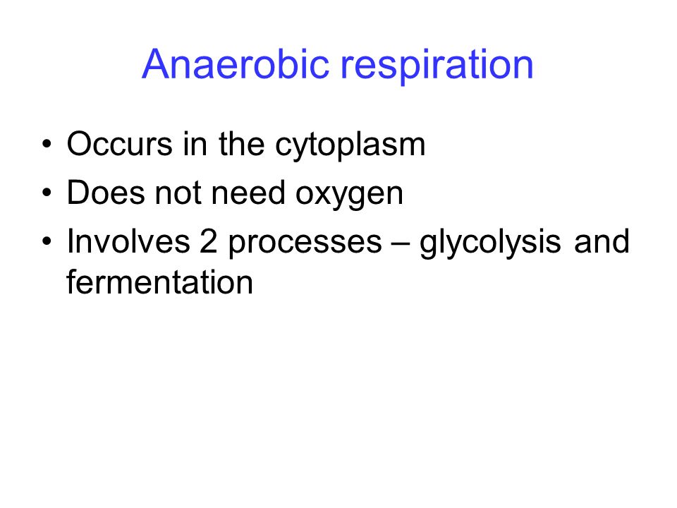 Anaerobic Fermentation Equation Talkchannels Balanced Equation For Aerobic Cell Respiration Talkchannels