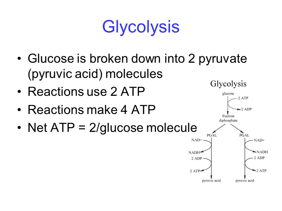 Chemical Equation For Glycolysis Talkchannels Chemical Equation Of Glucose Talkchannels