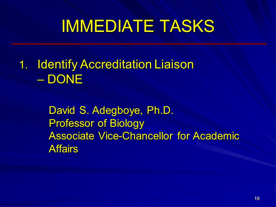 18 IMMEDIATE TASKS  Identify Accreditation Liaison – DONE David S.