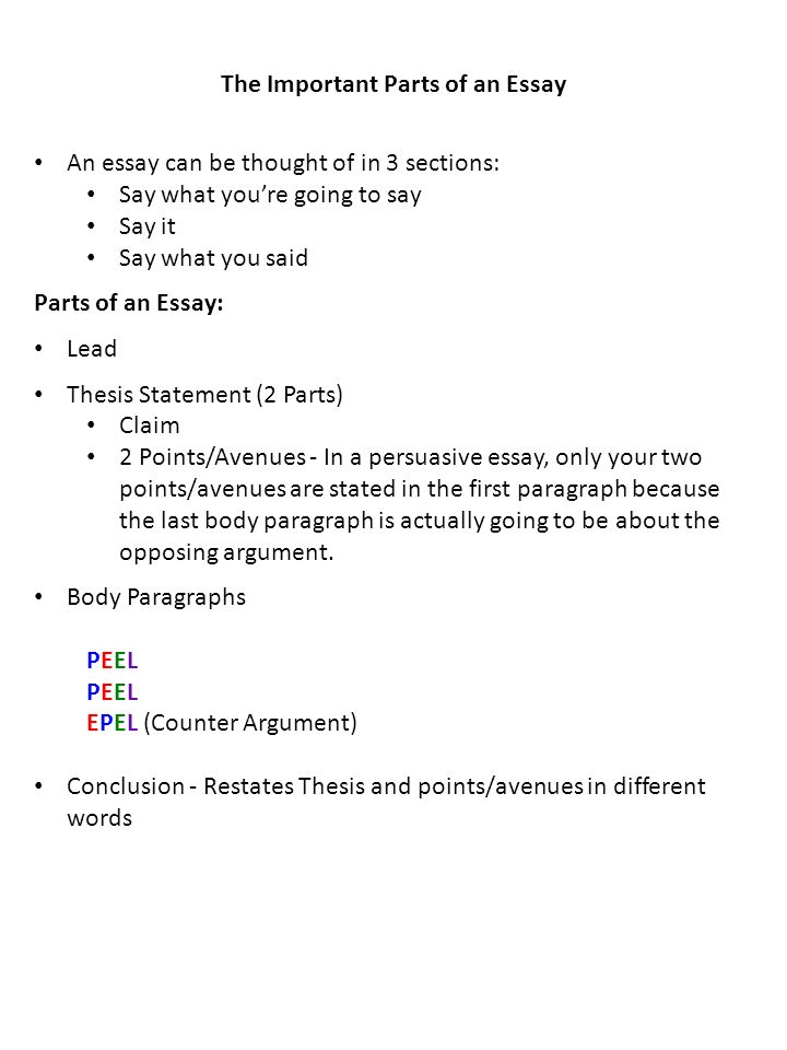 persuasive essay articles